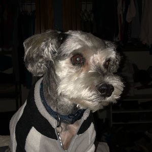 Meet your Posher, Marlene